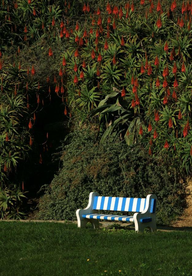 Azenhas Do Mar Cottage シントラ エクステリア 写真